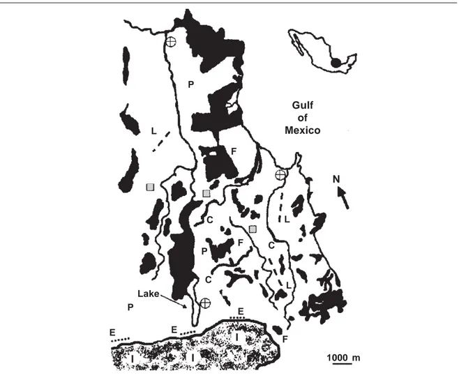 Fig. 1. Áreas de estudio en la región de Los Tuxtlas, Veracruz, México. Se muestran los fragmentos de selva (indicados en negro) al norte de la selva extensa que forma parte de la Estación de Biología Los Tuxtlas: I