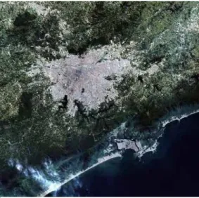 Figura 3: Foto de satélite da mancha urbana de São  Paulo 
