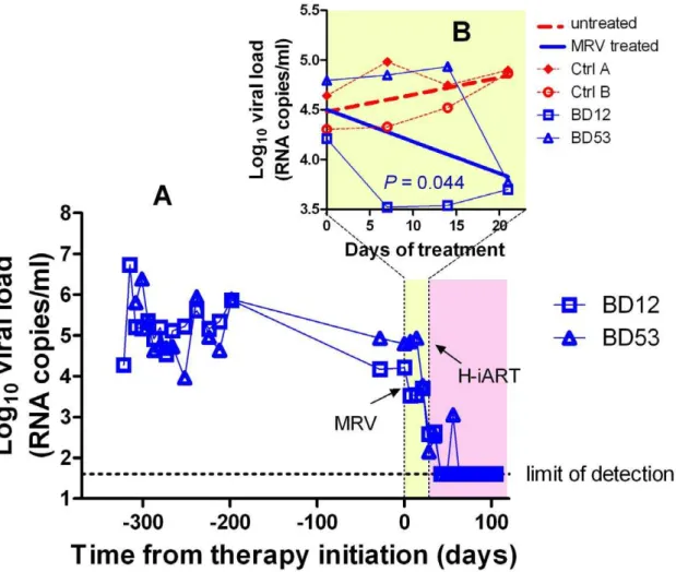 Figure 3. Ritonavir-boosted MRV (MRV/r) is able to decrease viremia in vivo . Panel A: Viral load measurements after infection and during treatment with MRV/r (light yellow) and H-iART (light purple)