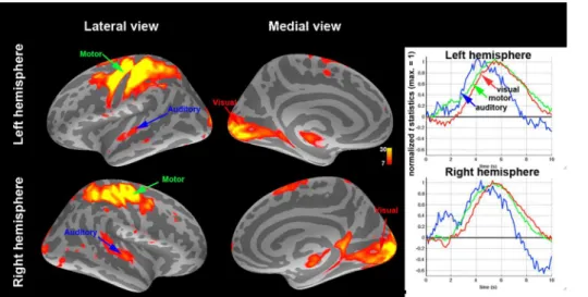 Figure 1. (Left) Locations of the five ROIs ( t statistics of the BOLD signal averaged between 4.0 s and 7.0 s after the visual stimulus onset) in each hemisphere