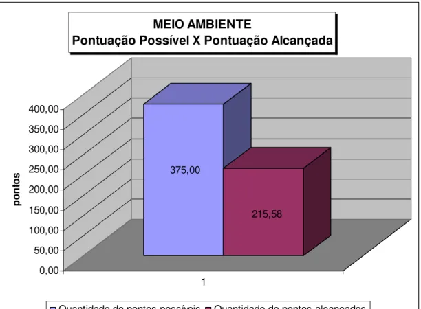 Gráfico 06: Aproveitamento Geral no Tema Meio Ambiente 