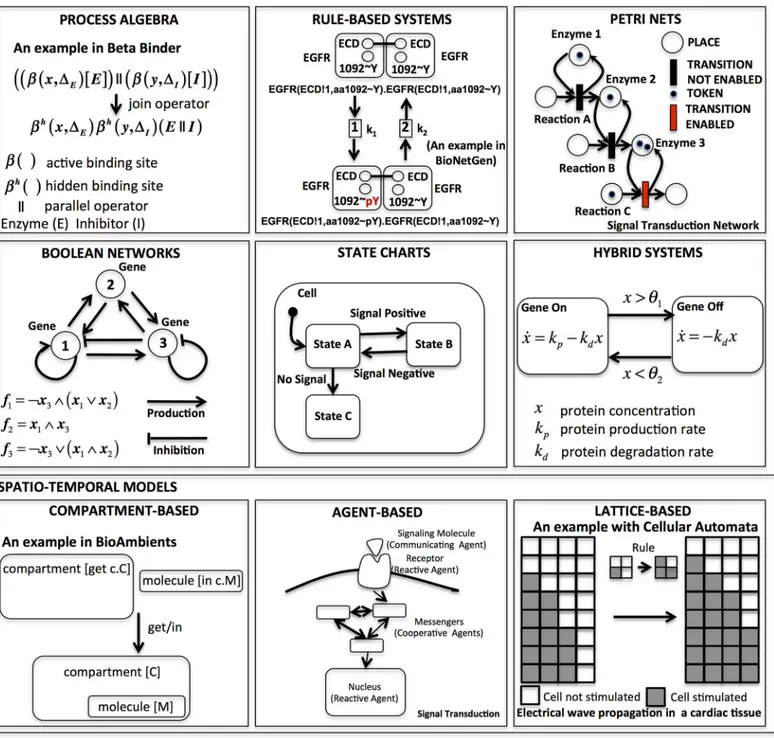 Fig 1. Most relevant examples of computational modeling approaches introduced with toy examples