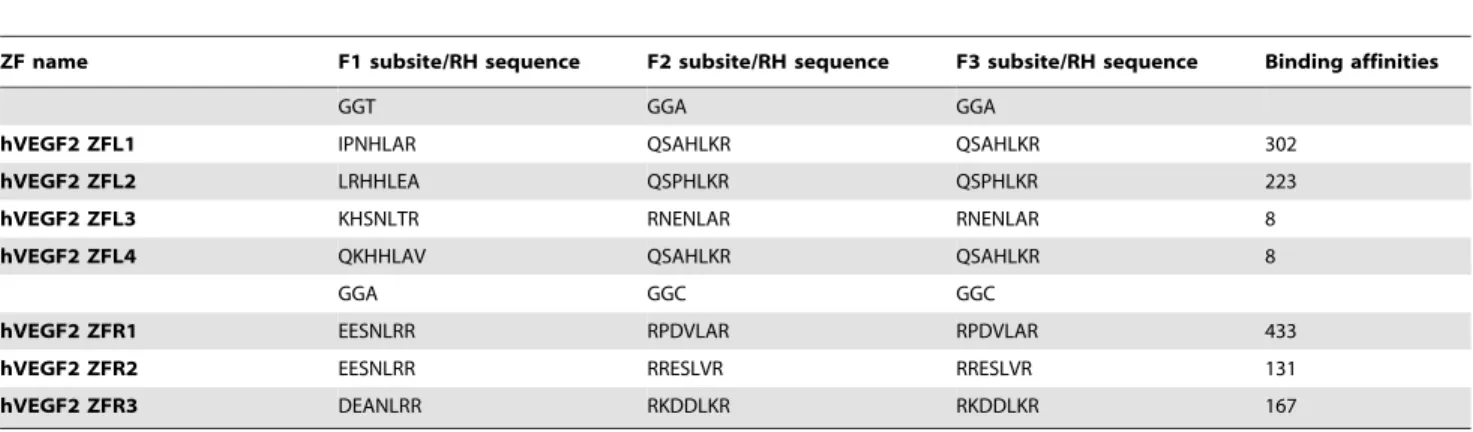 Table 1. The target sequences, corresponding key amino acid sequences and binding affinities of hVEGF2 zinc fingers (ZF).