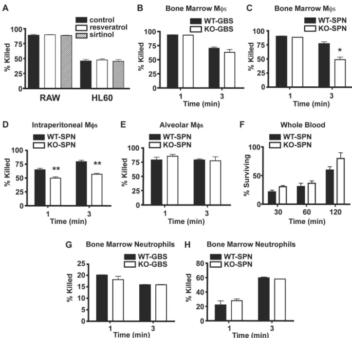 Figure  1.    SIRT1  has  minimal  effects  on  macrophage  and  neutrophil  antimicrobial  function