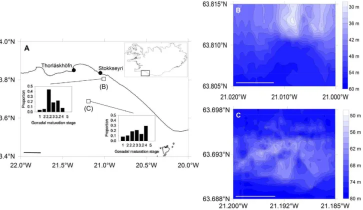 Figure 1. Map of study area off southwestern Iceland (A) with sample locations indicated by open boxes