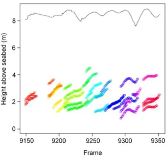 Figure 7. Echogram of cod spawning aggregation in the transitional habitat between boulder/lava field (left) and sand (right) on Lofstadarhraun off southwestern Iceland 16 April 2009.