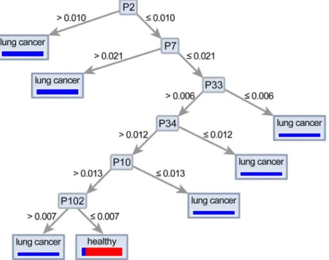 Fig. 2. Decision tree algorithm to discriminate between healthy and lung cancer patients.