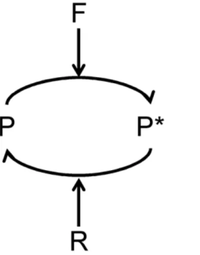 Figure 1. Kinetic Scheme for FRET Probe Activation. A forward enzyme F catalyzes the conversion of the FRET probe into an active state, and a reverse enzyme R catalyzes the conversion of the probe into an inactive state.