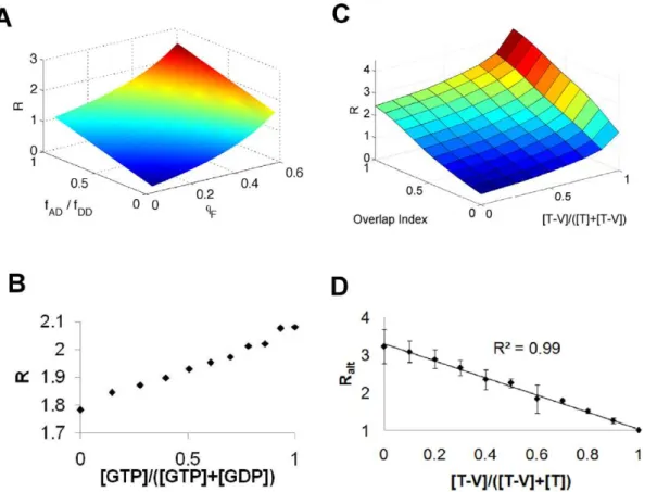 Figure 2. Ratiometric FRET. (A) Simulations for how the ratio R depends on the FRET efficiency Q F and the relative overlap of the donor fluorescence into the acceptor channel (f AD /f DD )