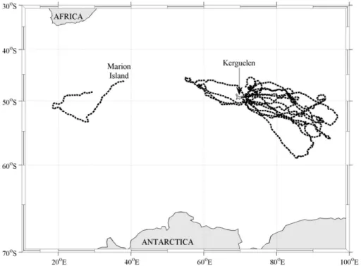 Fig. 1. Tracks of southern elephant seals tagged with FCTD-SRDLs over the austral summers of 2009, 2010, 2012 and 2013