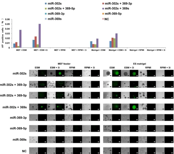 Fig 3. Cancer cell reprogramming conditions. Cells positive for the live stain alkaline phosphatase (AP) cells were counted as indicators of cancer reprogramming