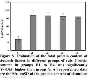 Figure  5.  Evaluation  of  the  total  protein  content  of  stomach  tissues  in  different  groups  of  rats