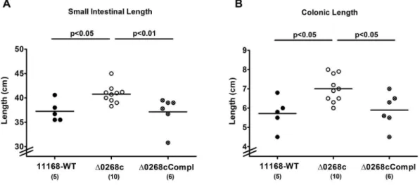 Figure 3. Kinetic survey of clinical symptoms following C. jejuni knockout mutant NCTC11168:: cj0268c infection of gnotobiotic IL- IL-10 2/2 mice