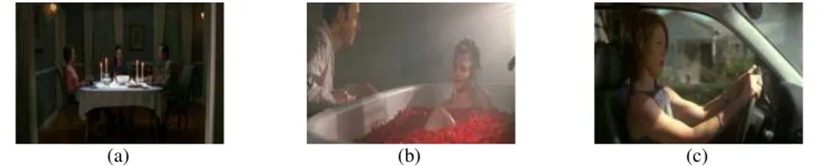 Figure 5: (a) Task 1 — Keyframe of dinner scene in the movie American Beauty [timeframe  1:05:00-1:07:30], (b) Task 2 — Above: Keyframe of Lester and Angela in a bathtub [timeframe 