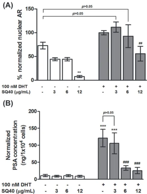 Fig 7. Quantitative measurement of the level of nuclear AR and PSA secretion in SQ40-treated LNCaP cells