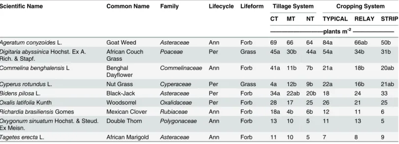 Table 2. Scientific name, common name, family, lifecycle, life-form and plant density (plants m -2 ) of most dominant weed species in conventional tillage (CT), minimum tillage (MT) and no-till (NT) and maize/bean intercropping (TYPICAL), maize/bean interc