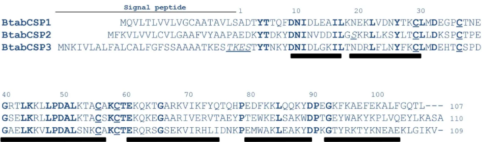 Fig 1. Identification of B. tabaci CSP1, CSP2 and CSP3. Conserved amino acids are shown in bold
