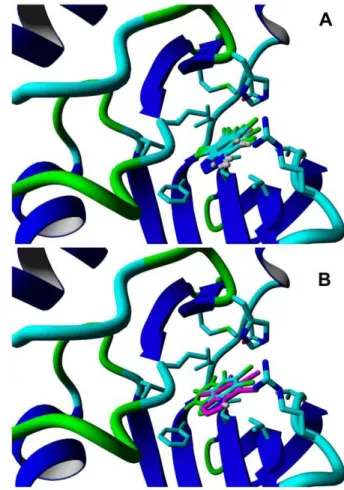 Figure 2. Inhibitory activities (IC 50 ) of brominated Bt deriva- deriva-tives predicted on the basis of: (A) V mol and experimental pK a ; (B) ab initio derived DG solv (anion) and DG diss free energies; and (C) autodock-derived free energy of binding (DG