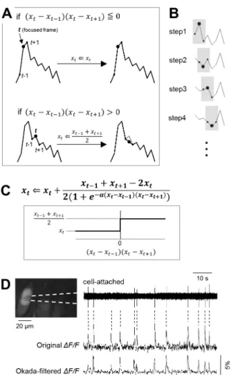 Fig 1. Introduction of the Okada filter. A. Schematic illustration for data processing of the Okada filter
