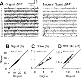 Fig 5. Application of the binomial filter to fMCI data. A. Left 20 traces are raw fluctuations in the OGB1 fluorescence intensities in the cell bodies numbered in Fig 3A and were binomial-filtered (right)