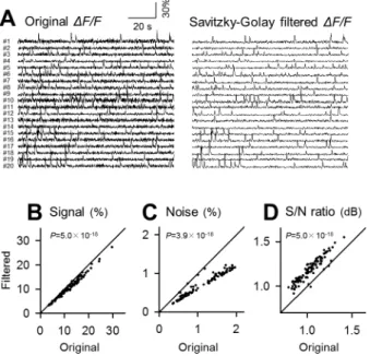 Fig 6. Application of the Savitzky-Golay filter to fMCI data. A. Left 20 traces are raw fluctuations in the OGB1 fluorescence intensities in the cell bodies numbered in Fig 3A and were Savitzky-Golay-filtered (right).