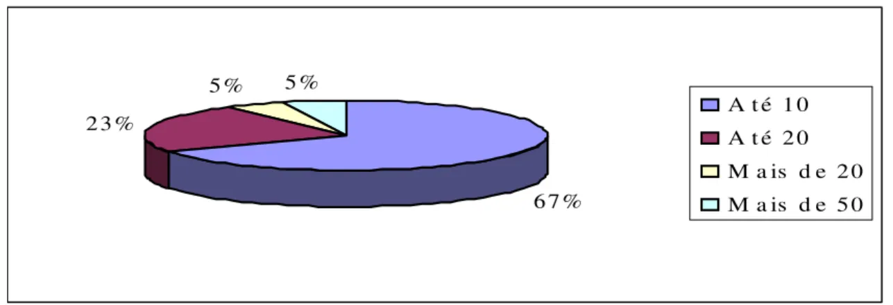 Gráfico 6: Quantidade de funcionários  Fonte: Elaborado pela autora