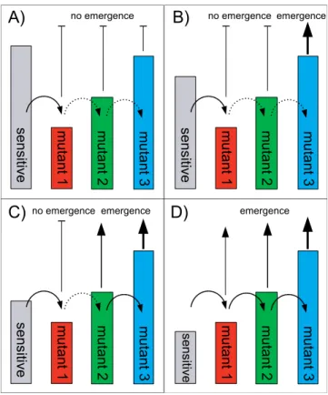 Figure 2 summarizes the basic dynamics of resistance emergence for our model. The bars indicate the between-host ﬁtness levels as measured by R 0 for the sensitive and resistant pathogen strains