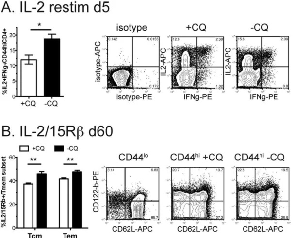 Figure 2. Chronic infection increases IL-2+ memory cells and IL2/15Rb+ memory fraction
