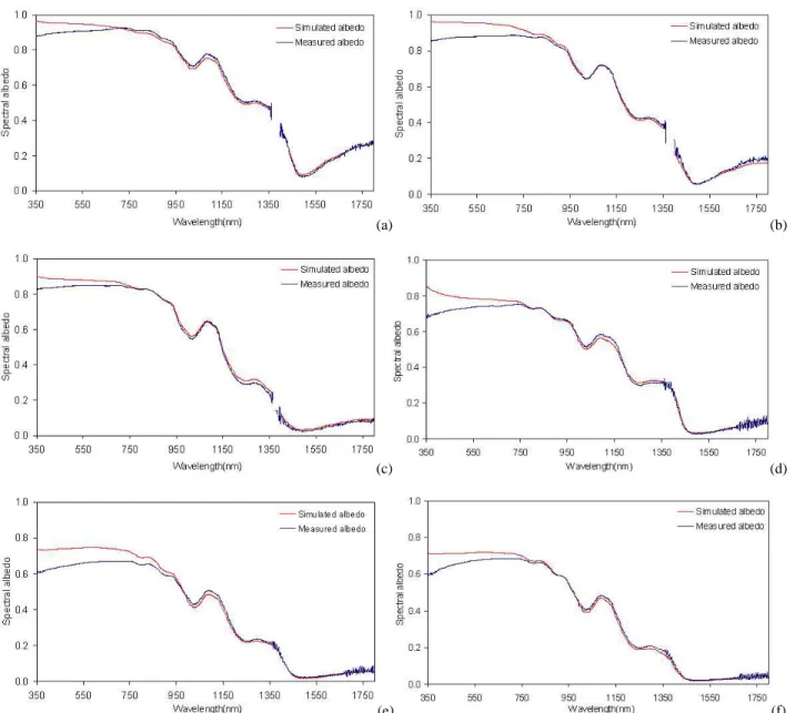Fig. 5. The comparison between simulated plane albedo and field measured spectral albedo; (a–c) are for snow Type-I at 11:20, 11:50 and 12:20 local time, and (d–f) are for snow Type-II at 09:20, 11:00 and 12:00 local time, respectively.