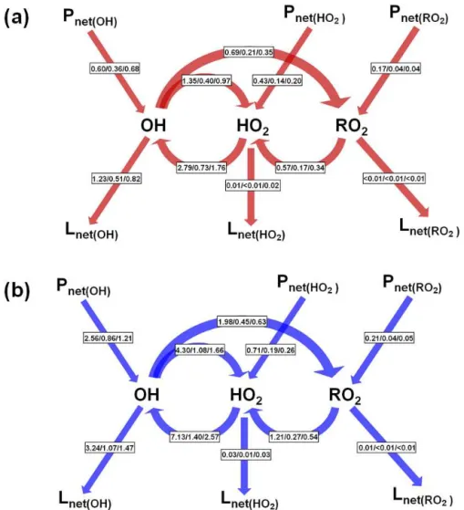 Figure 12. Daytime (06:00–18:00 LST) average budgets of OH, HO 2 and RO 2 radicals (reaction rates, ppb h −1 ) for cases (a) R and (b) R p in Beijing/Shanghai/Guangzhou in August 2007.