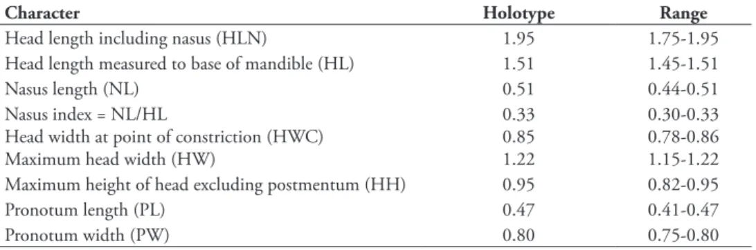 Table 1. Measurements (in mm) for 20 soldiers of Hospitalitermes krishnai sp. n.