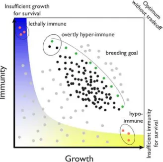 Fig 1. Hypothetical phenotypic space determined by trade-offs between growth and immunity.