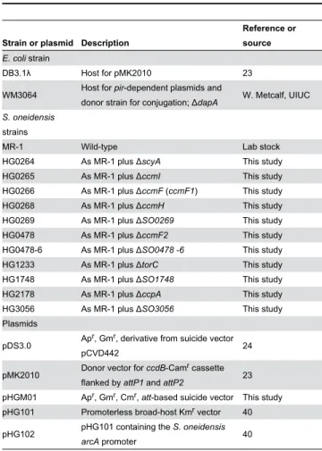 Table 2. Strains and plasmids used in this study.