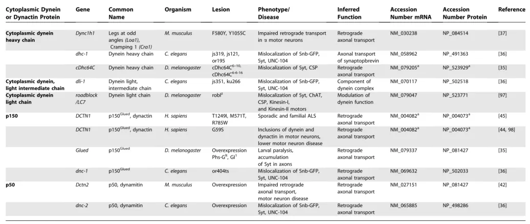 Table 2. Cytoplasmic Dynein and Dynactin Genes Required for Axonal Transport Cytoplasmic Dynein