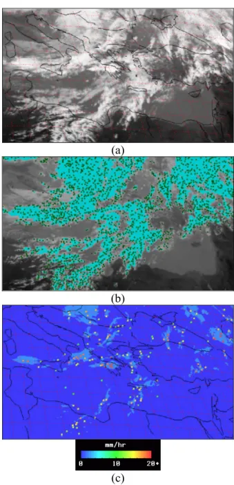 Figure 3. (a) Meteosat-7 IR subimage over the Mediterranean on 8 October, 2003, at 11:30 UTC; 