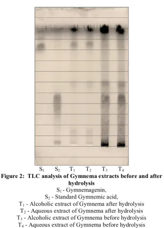 Figure 1: TLC of alcoholic and aqueous extracts of Gymnema leaf  with standard 