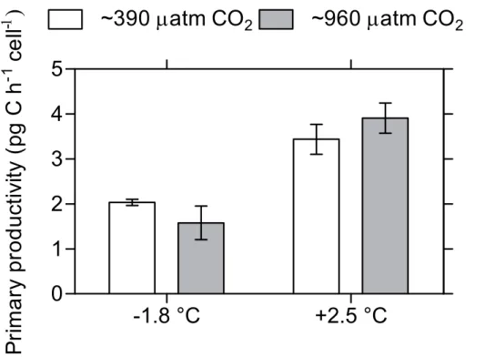 Fig. 3. Primary productivity (pg C h −1 cell −1 ) measurements after 14 days of treatment in Exper- Exper-iment A