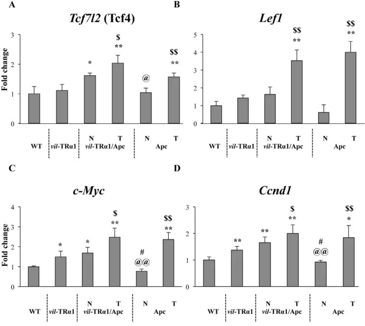 Figure 3. Analysis of Tcf7l2 (Tcf4) and Wnt target genes in mice of different genotypes