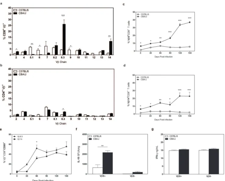 Figure 4. Vb TcR expression in CBA/J and C57BL/6 mice. C57BL/6 and CBA/J mice were infected with an aerosol dose of Mtb and at various timepoints post-infection lungs were removed and processed for flow cytometry