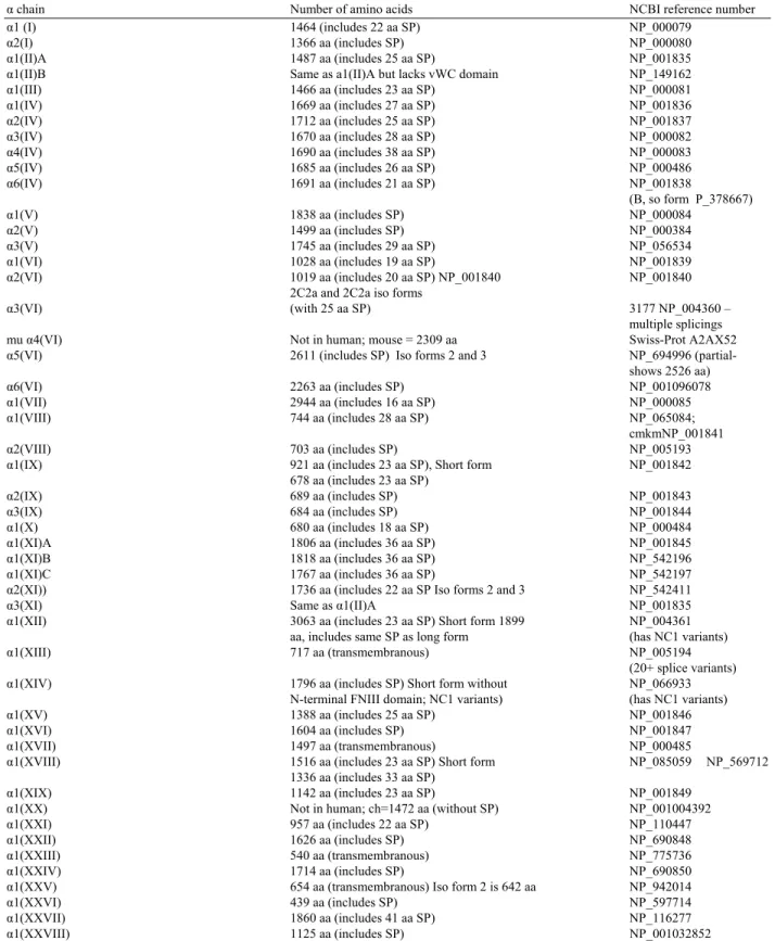 Table 1: Collagen α chains, number of amino acids and National Center for Biotechnology Information (NCBI) reference numbers (Adapted from  Gordon and Hahn, 2010) 