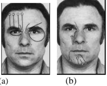 Gambar 1 Face muscular action (Ekman, 2002) 