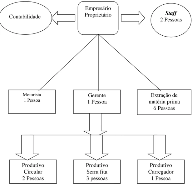 Figura 1: Organograma da empresa. 