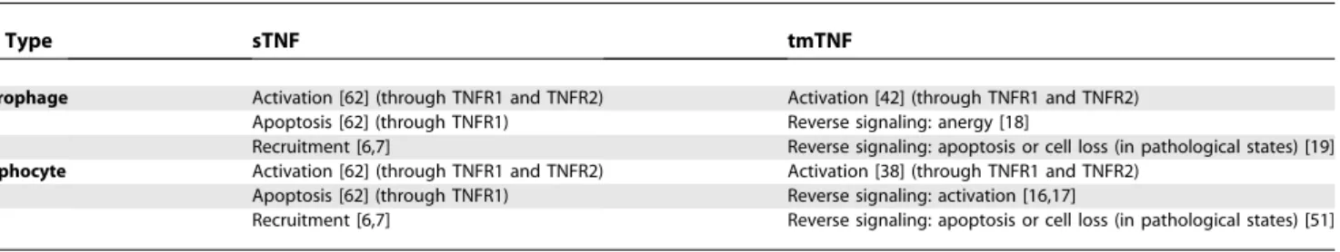 Table 1. sTNF and tmTNF Effects on Lymphocytes and Monocytes/Macrophages