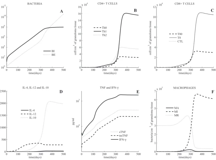 Table 2 illustrates TNF-dependent factors that, when varied, promote either lower bacterial levels (from latency) or increased bacterial load and reactivation of latent TB.