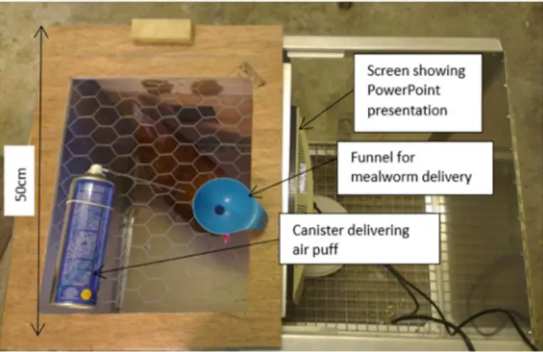 Fig 1. Test apparatus. Birds are positioned in the test box; one side of which is made of clear Perspex enabling the bird to see a computer screen that presents the cues