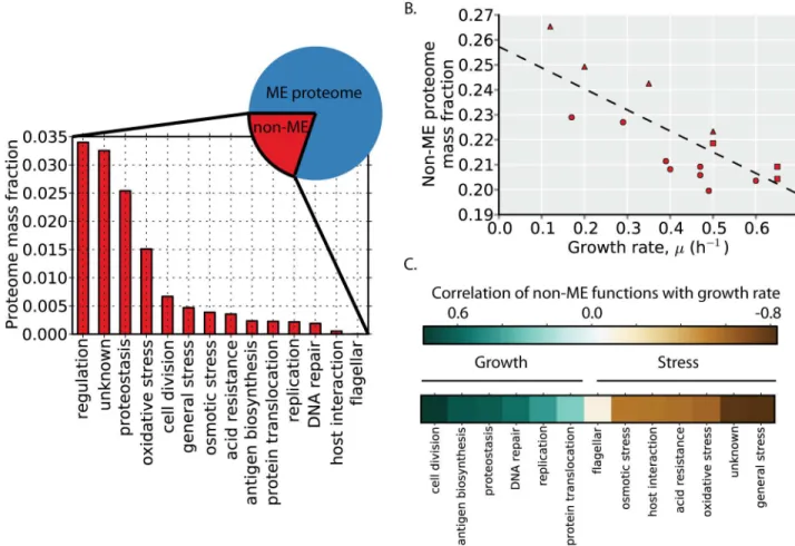 Fig 7. Growth versus stress regulatory logic. (A) The non-ME proteome encompasses ~20% of the proteome by mass in glucose minimal media (pie chart)