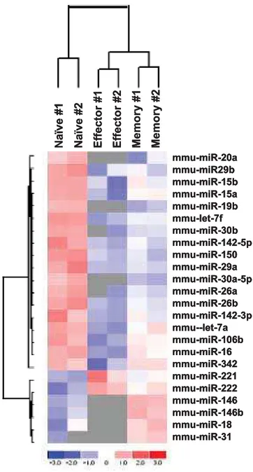 Figure 2. Differential expression of miRNAs in naı¨ve, effector and memory T cells. Signal intensity for a particular miRNA in each cell type was divided by that of the pooled RNA reference sample to generate the heat map