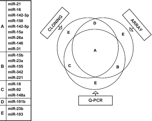 Figure 4. Correlation amongst three methods of miRNA expression profiling. Twenty different miRNAs (indicated on the left) that were picked up by direct cloning and/or microarray hybridization were also tested by real time PCR