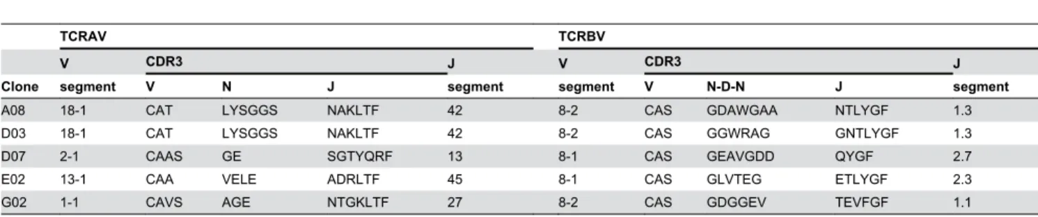Table 2. Amino-acid sequences of CDR3 regions of Pd-induced T cell clones.