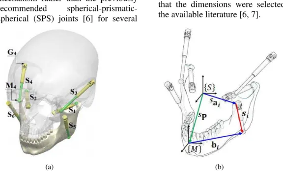 Figure  1.  (a)  The  mandible,  actuators,  and  connecting  points,  (b)  the  schematic  diagram  of  the  6-UPS  mastication robot 